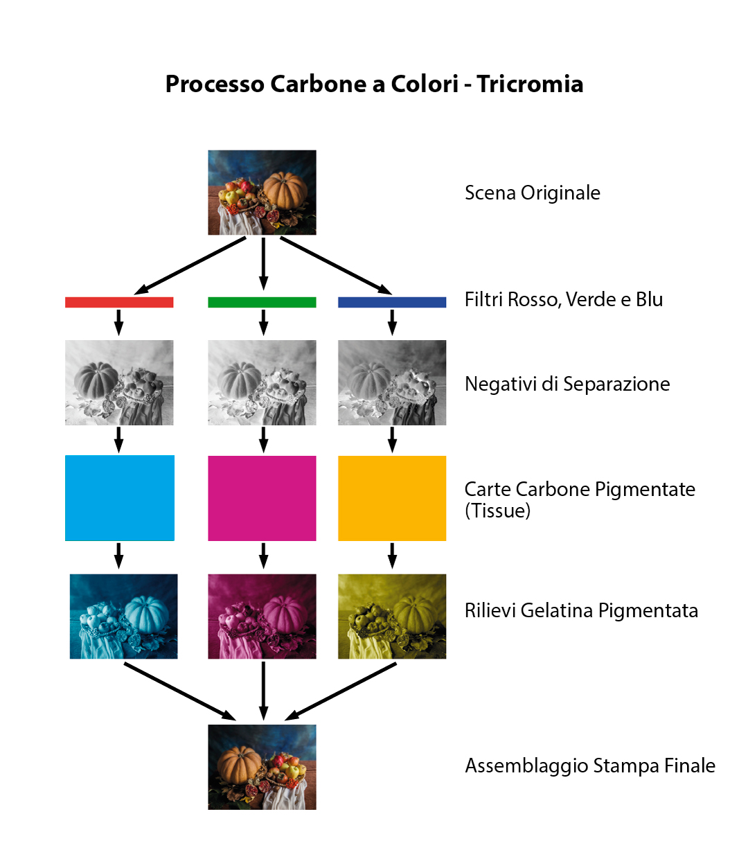 Processo Carbone a Colori