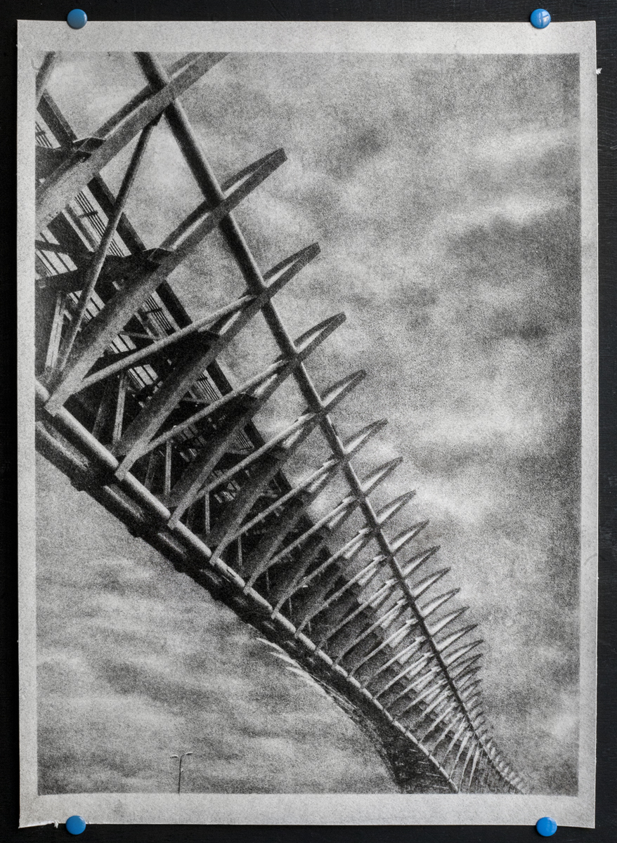 People Mover Bridge - Venezia - bromolio - camera oscura - fotografia analogica