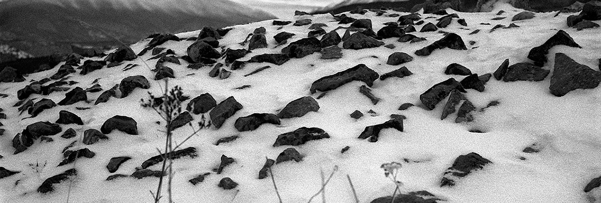 Stampa al Carbone monocromatica